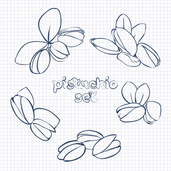 Pistache — Image vectorielle