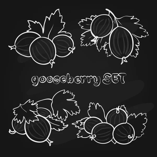 Goosebbery1 — Stock Vector