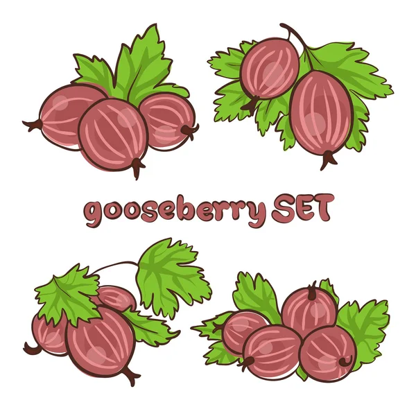 Goosebbery1 — Stock Vector