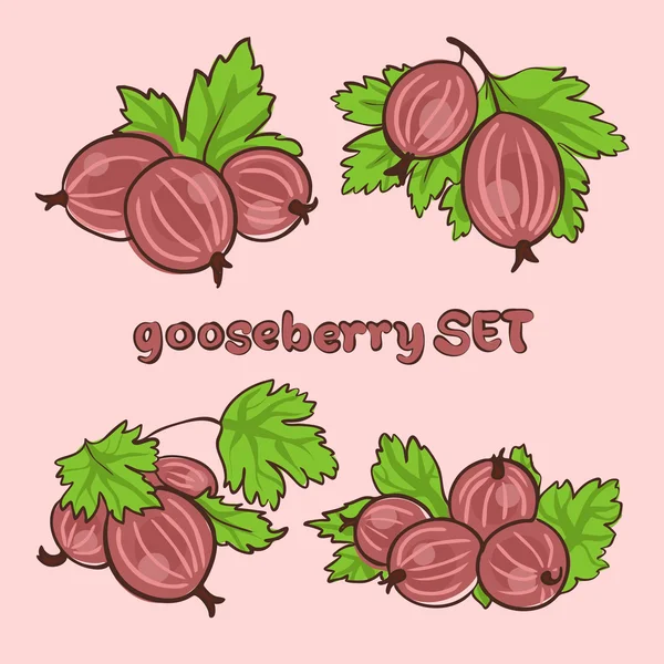 Goosebbery1 — стоковий вектор