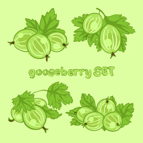 Goosebbery1 — Stock Vector