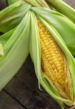 Fresh farm corn