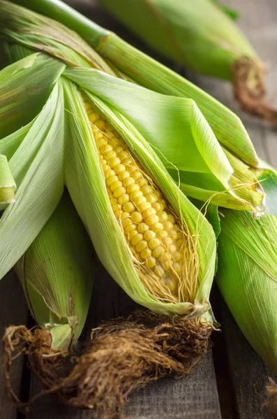 Fresh farm corn Stok Resim