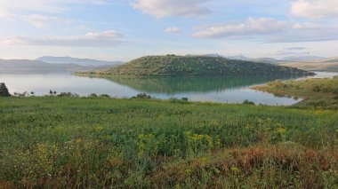 Reflejo ayık el agua.