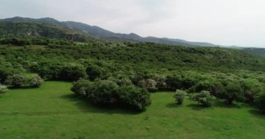 Dağlardaki ormanın güzel manzarası