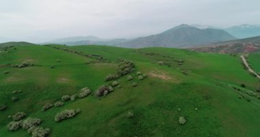 Dağlardaki ormanın güzel manzarası