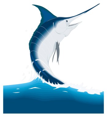 Kılıçbalığı balık vektör illüstrasyonu şeffaf arkaplan