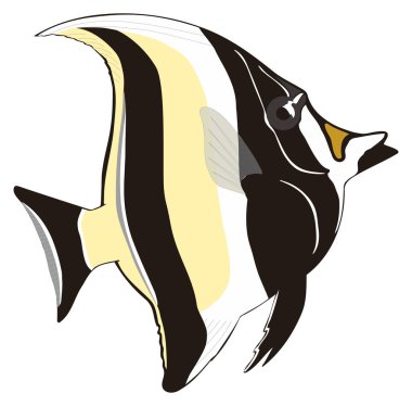 tropikal kırsal balık vektör illüstrasyonu şeffaf arkaplan