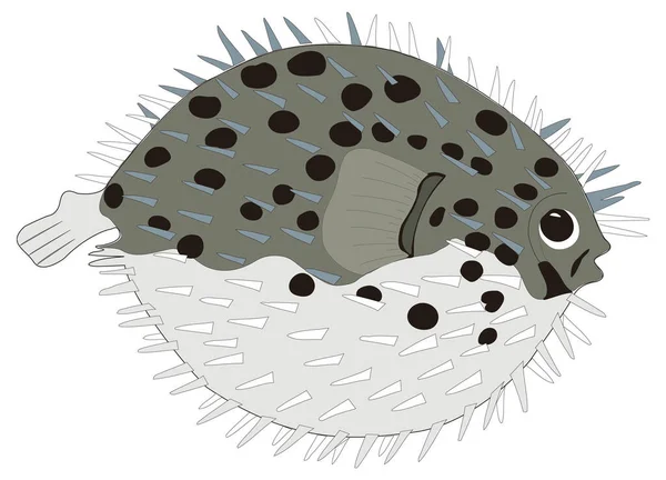 風船魚ベクトル図透明背景 — ストックベクタ