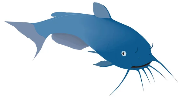 Cat Fish Vector Illustration Transparent Background — Stock Vector