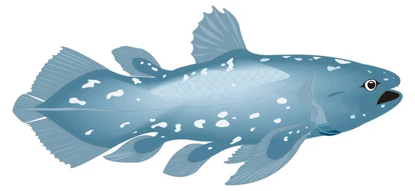 シーラカンス魚ベクトル図透明背景 — ストックベクタ