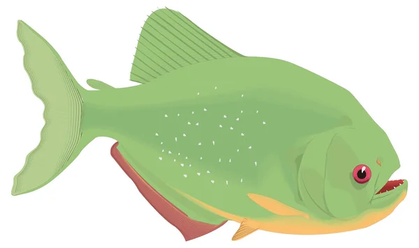 ピラニア魚ベクトル図透明背景 — ストックベクタ