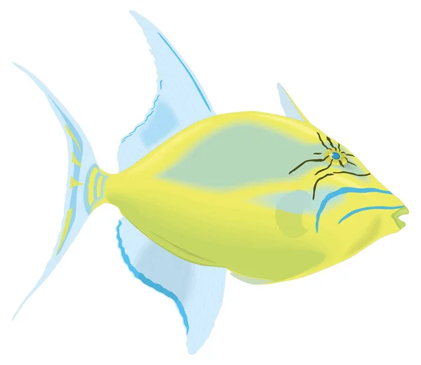 Reina Gatillo Peces Vector Ilustración Fondo Transparente — Archivo Imágenes Vectoriales