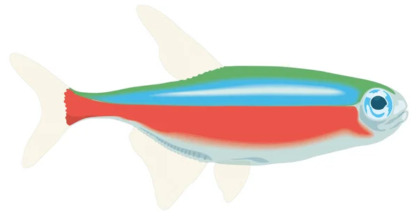 Tetra Pesce Vettore Illustrazione Sfondo Trasparente — Vettoriale Stock
