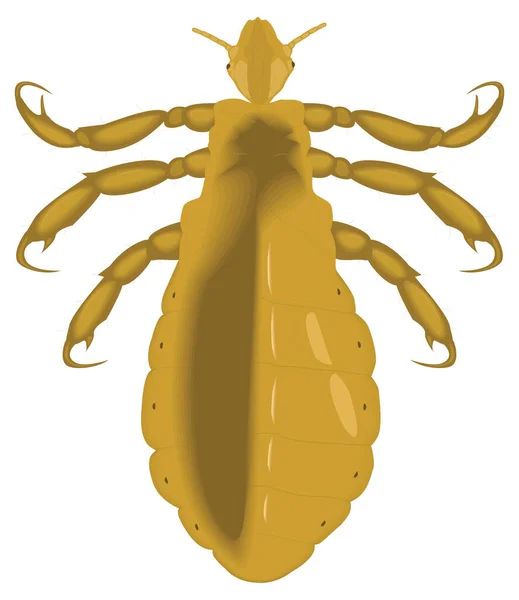 フリーハウス昆虫ベクトルイラスト透明背景 — ストックベクタ