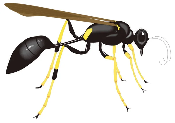 Modder Zwart Geel Dauber Bij Insect Vector Illustratie Transparant Achtergrond — Stockvector