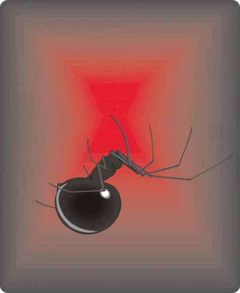 Spin Werk Insect Vector Illustratie Transparante Achtergrond — Stockvector