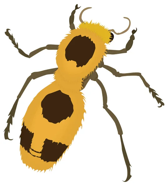 黄色の毛皮の昆虫ベクトル図透明背景 — ストックベクタ
