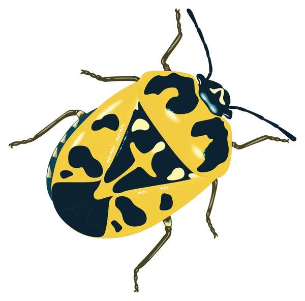 黄色のハリキン昆虫ベクトル図透明背景 — ストックベクタ