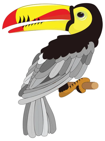 Krásný Toucan Pták Vektor Ilustrace Transparentní Pozadí — Stockový vektor