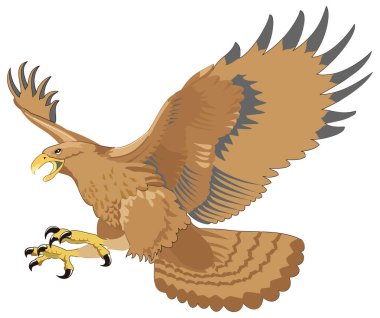 kartal sineği avı kuş vektör çizimi şeffaf arkaplan