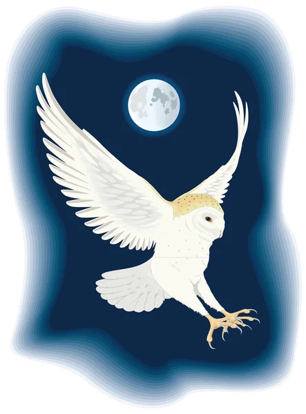 Біла Сарай Сова Літати Птах Векторна Ілюстрація Прозорого Фону — стоковий вектор
