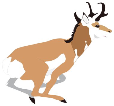 Antilop geyiği hayvansal vektör illüstrasyonunu şeffaf arka planda çalıştırır