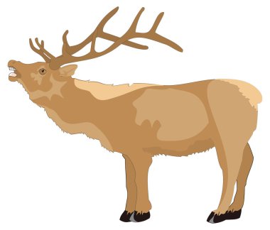kahverengi geyik hayvan vektör illüstrasyonu şeffaf arkaplan