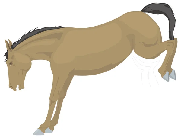 Caballo Enojado Patada Animal Vector Ilustración Fondo Transparente — Vector de stock