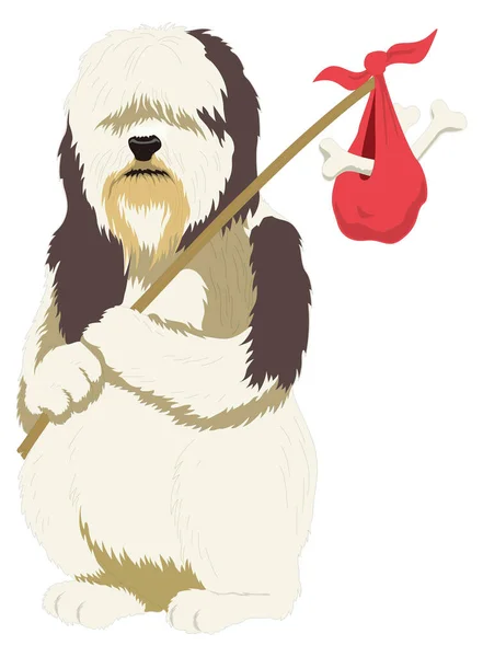 Barbet Σκύλος Δραπέτης Ζώο Διανυσματική Απεικόνιση Διαφανές Φόντο — Διανυσματικό Αρχείο