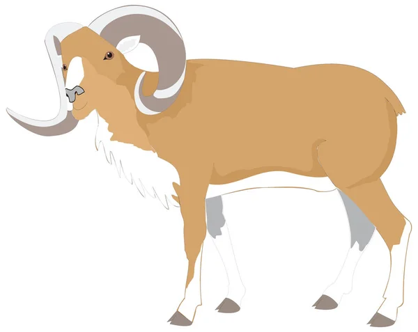 Illustration Vectorielle Animale Mouflon Mouflon Fond Transparent — Image vectorielle