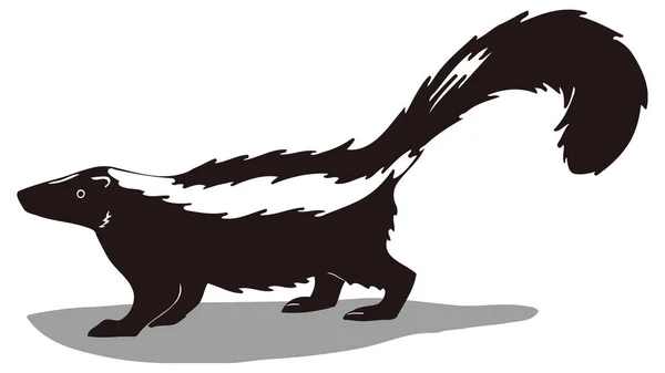 Preto Branco Skunk Animal Vetor Ilustração Transparente Fundo — Vetor de Stock