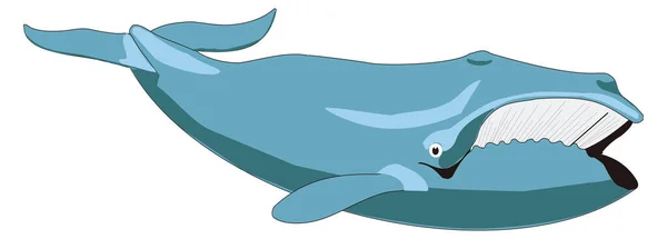 Blue Whale Animal Vector Illustration Transparent Background — Stock Vector