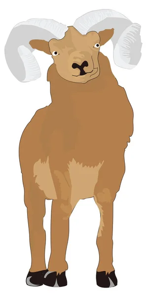 Marrom Bighorn Ovinos Animal Vetor Ilustração Transparente Fundo —  Vetores de Stock