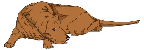 Коричневая Собака Сон Животных Векторные Иллюстрации Прозрачный Фон — стоковый вектор