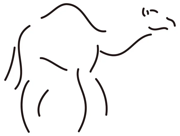 Wielbłąd Linia Sztuka Zwierzę Wektor Ilustracja Przezroczyste Tło — Wektor stockowy