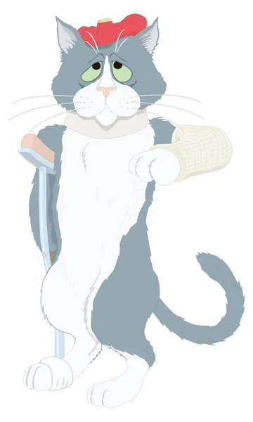 Katze Fraktur Krankenhaus Krank Tier Vektor Illustration Transparent Hintergrund — Stockvektor