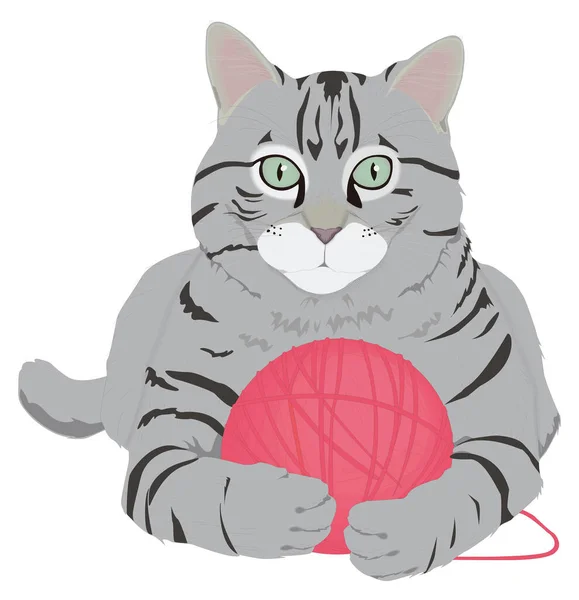 Katze Spielen Wolle Ball Tier Vektor Abbildung Transparent Hintergrund — Stockvektor