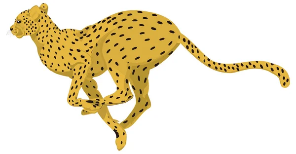 Gepard Spustit Zvířecí Vektor Ilustrace Transparentní Pozadí — Stockový vektor