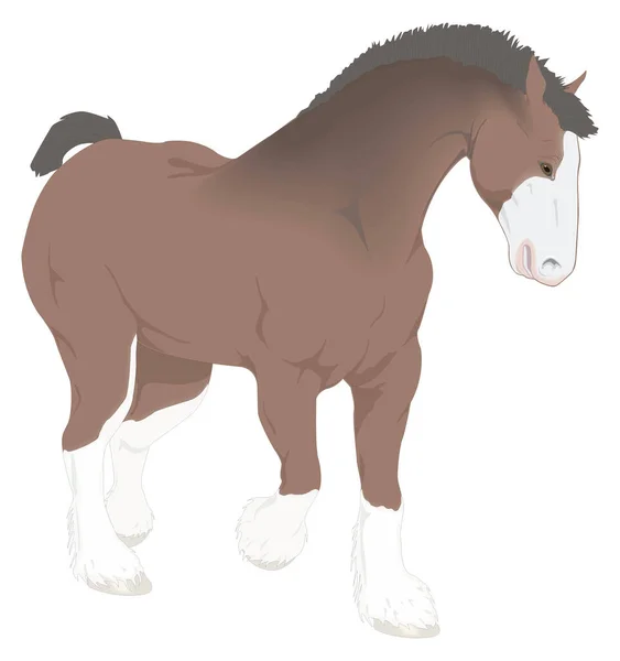 Clydesdale Kůň Zvíře Vektor Ilustrace Transparentní Pozadí — Stockový vektor