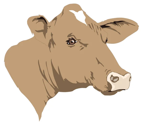 Cow Face Head Animal Vector Illustration Transparent Background — Stock Vector