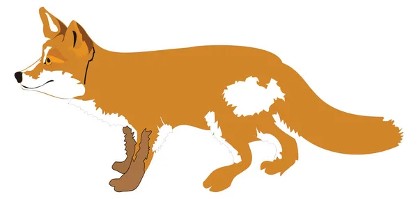 Fuchs Stehen Tier Vektor Abbildung Transparenten Hintergrund — Stockvektor