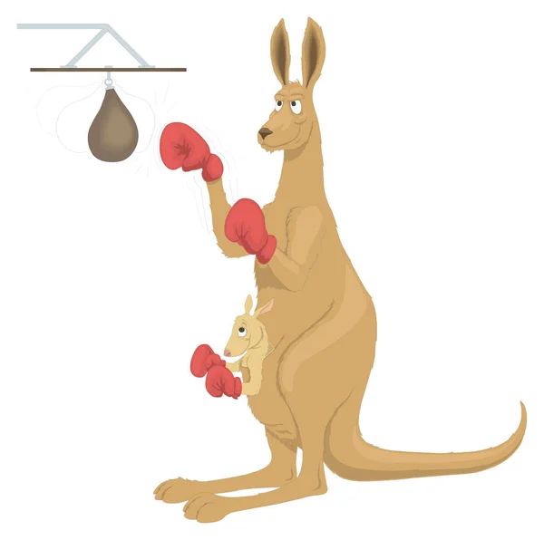 Rolig Brun Känguru Boxning Djur Vektor Illustration Transparent Bakgrund — Stock vektor