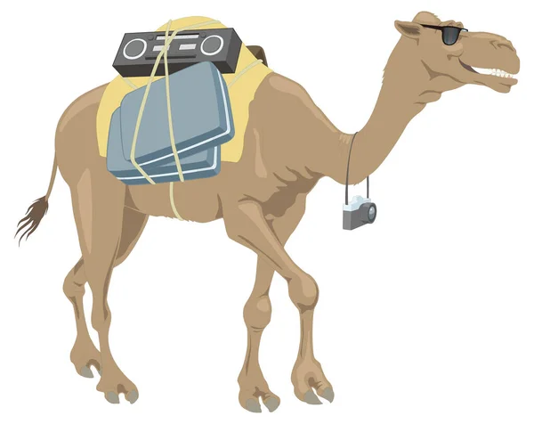 Смішна Верблюжа Тварина Векторна Ілюстрація Прозорого Фону — стоковий вектор