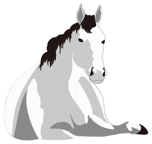 Šedý Kůň Relaxovat Zvíře Vektor Ilustrace Transparentní Pozadí — Stockový vektor