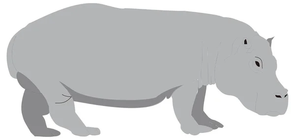 Grey Hippo Animal Vector Illustration Transparent Background — Stock Vector