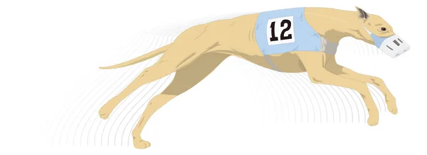 Greyhound Dog Run Animal Vector Illustration Fundo Transparente — Vetor de Stock
