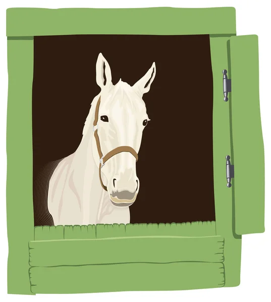 Pferd Fenster Animal Vector Illustration Transparenter Hintergrund — Stockvektor