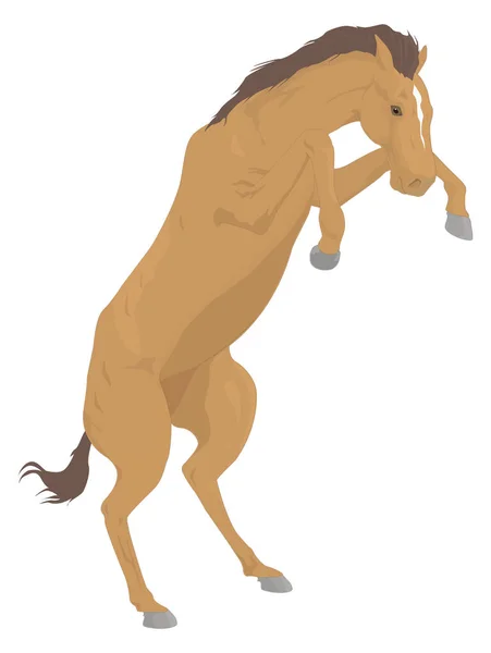 Kůň Stánek Zvíře Vektor Ilustrace Transparentní Pozadí — Stockový vektor