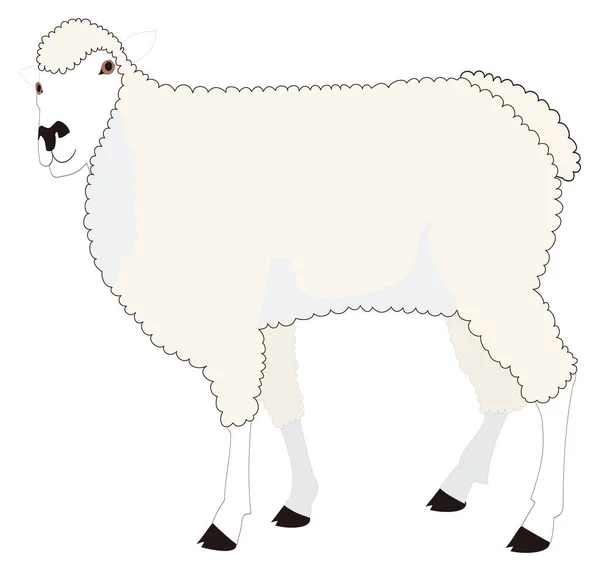 Agneau Mouton Animal Vecteur Illustration Fond Transparent — Image vectorielle